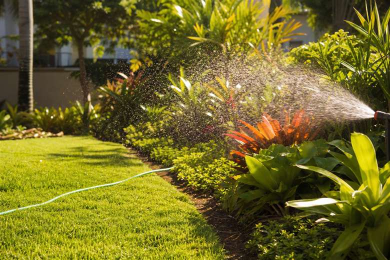 Jardim residencial durante o verão em Maceió